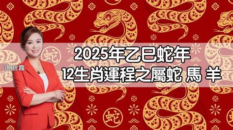 蛇2025|2025蛇年運程｜12生肖運勢全面睇+犯太歲4生肖+開運大